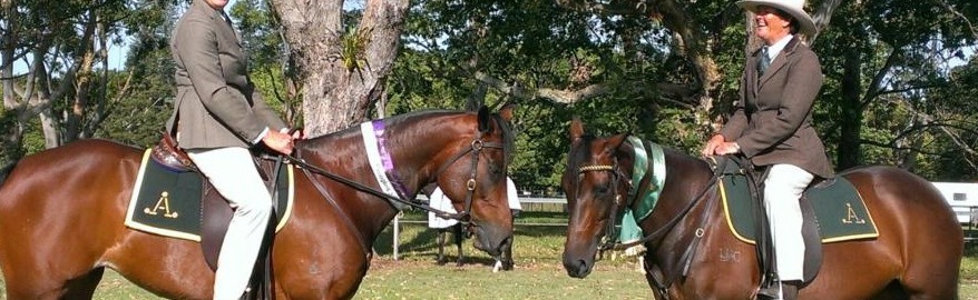 Two riders on bay horses in the show ring